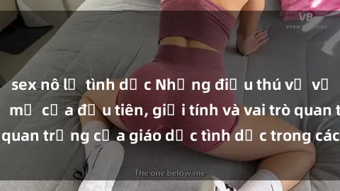 sex nô lệ tình dục Những điều thú vị về sex ở Bắc Âu: Sự mở cửa đầu tiên, giới tính và vai trò quan trọng của giáo dục tình dục trong các quốc gia này.