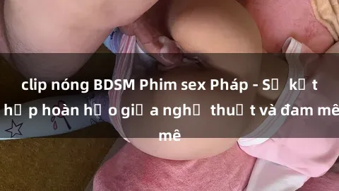 clip nóng BDSM Phim sex Pháp - Sự kết hợp hoàn hảo giữa nghệ thuật và đam mê